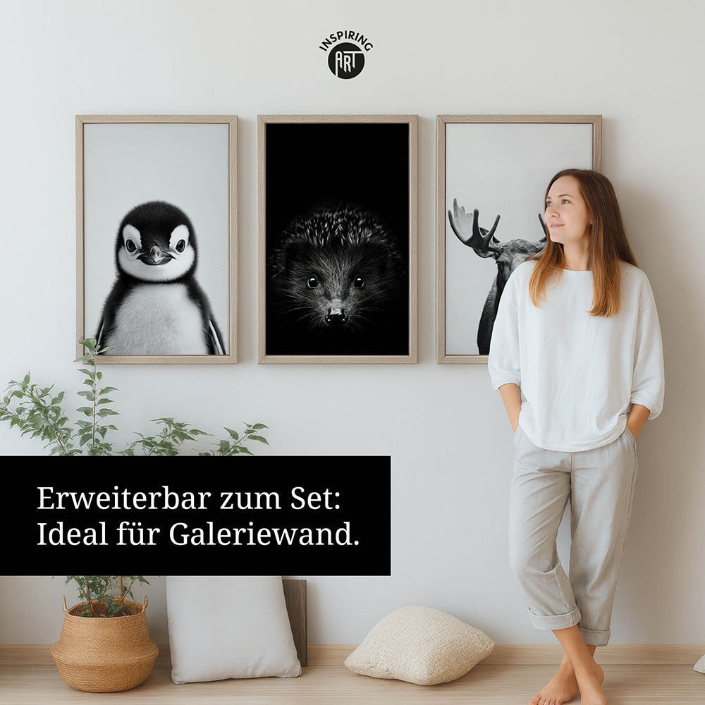 Leinwandbild: Tierporträt Pinguin "Flake" in Schwarz-Weiß
