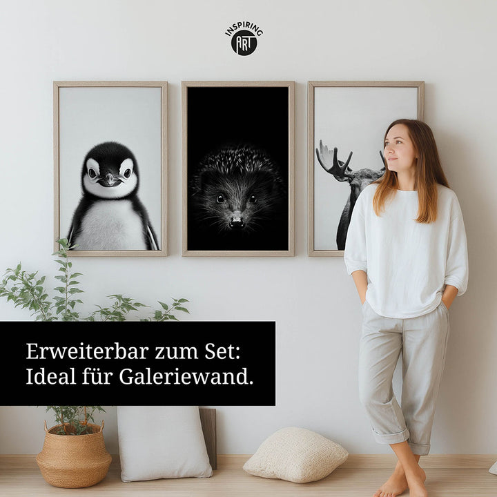 Leinwandbild: Tierporträt Pinguin "Flake" in Schwarz-Weiß