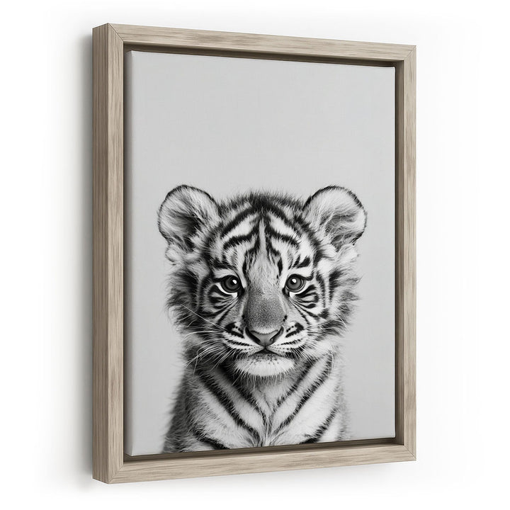Baby Tiger Leinwandbild mit Rahmen