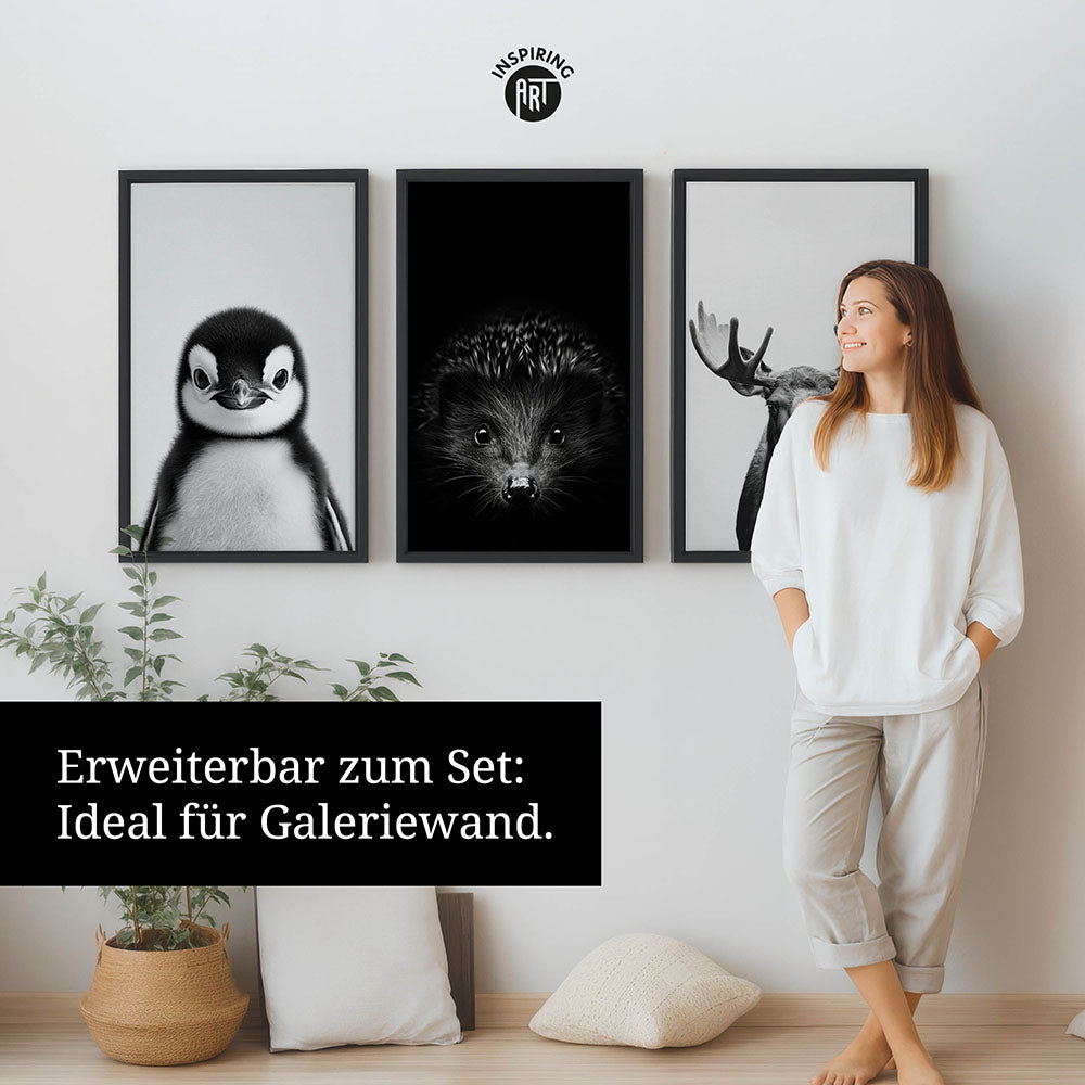 Leinwandbild: Tierporträt Pinguin "Icy" in Schwarz-Weiß