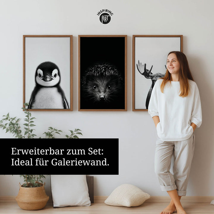 Leinwandbild: Tierporträt Pinguin "Flake" in Schwarz-Weiß