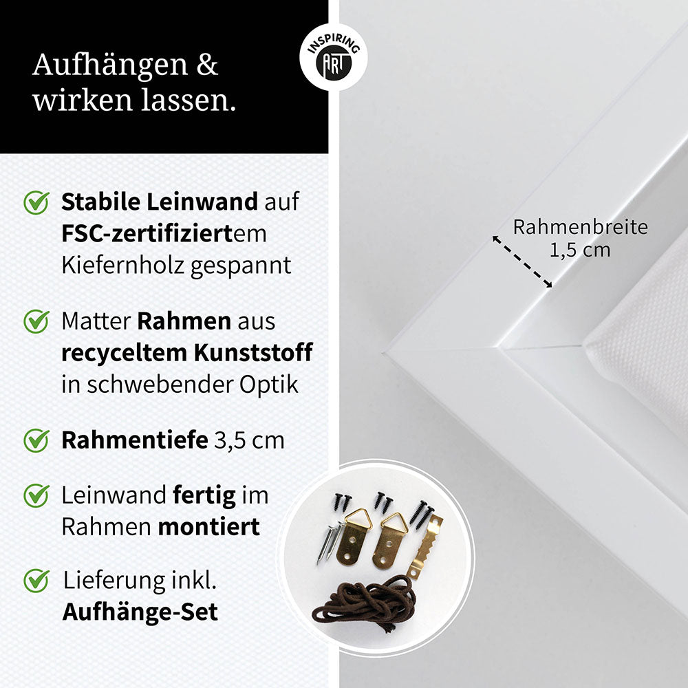 Leinwandbild: Tierporträt Pinguin "Marble" in Schwarz-Weiß