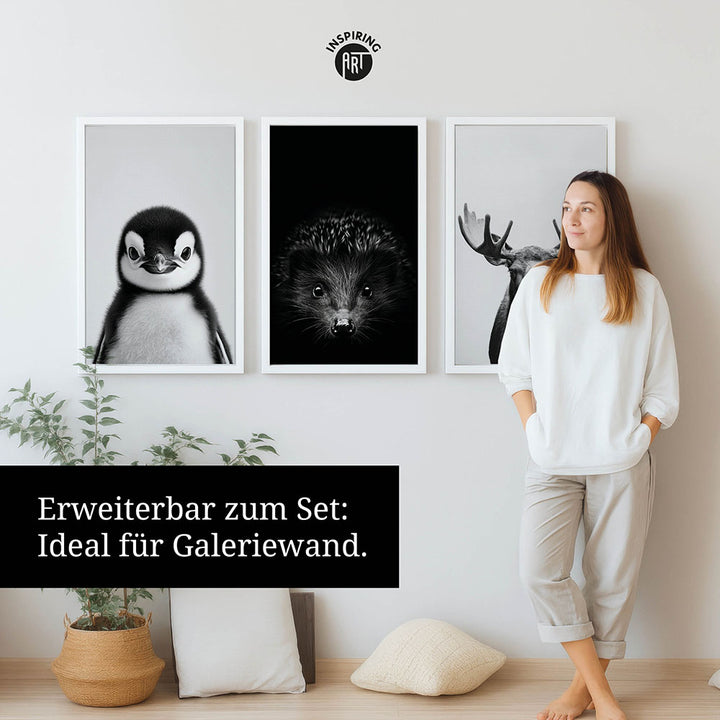 Leinwandbild: Tierporträt Pinguin "Marble" in Schwarz-Weiß