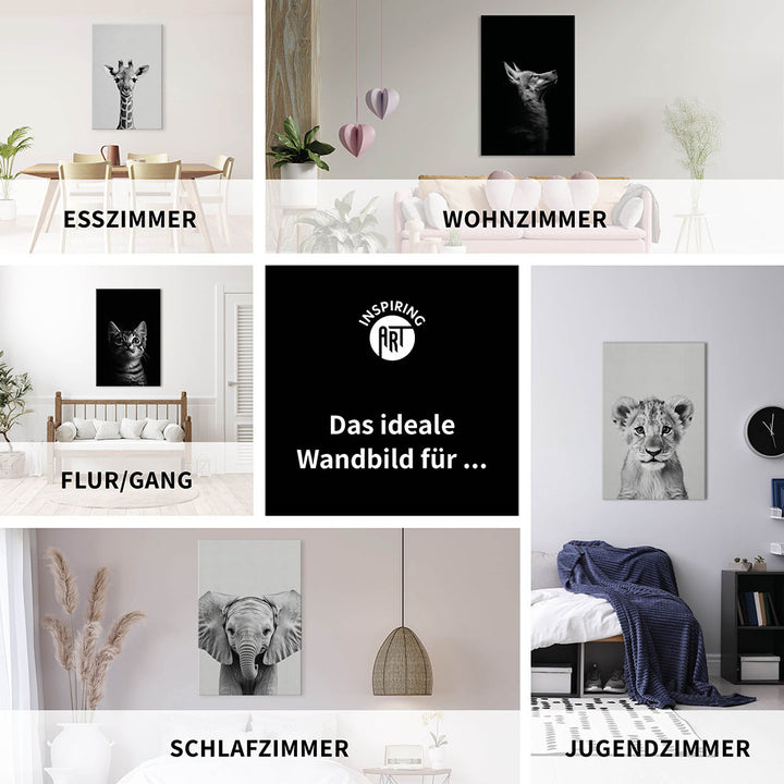 Leinwandbild: Tierporträt Tiger "Raja" in Schwarz-Weiß