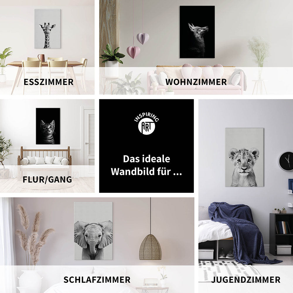 Leinwandbild: Tierporträt Pinguin "Marble" in Schwarz-Weiß