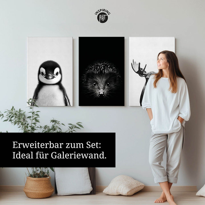 Leinwandbild: Tierporträt Pinguin "Flake" in Schwarz-Weiß
