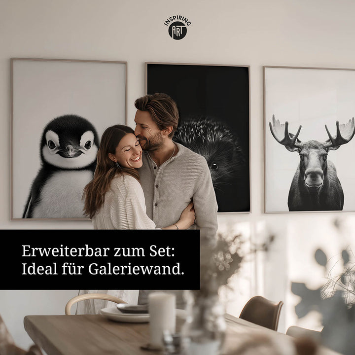 Poster: Tierporträt junger Tiger "Zuko" in Schwarz-Weiß