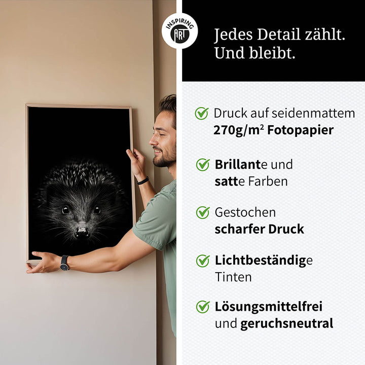 Poster: Tierporträt Igel "Stitch" in Schwarz-Weiß