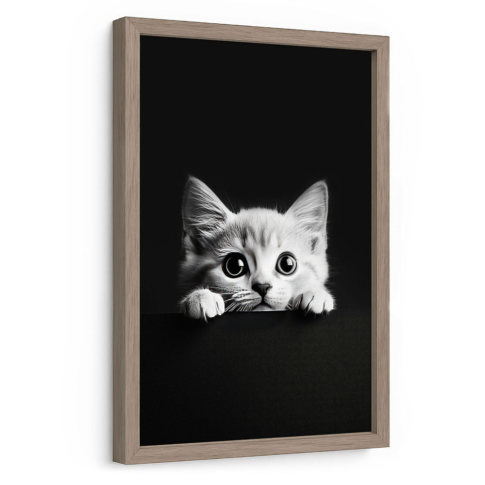 Poster mit Rahmen Katze Schwarz Weiß