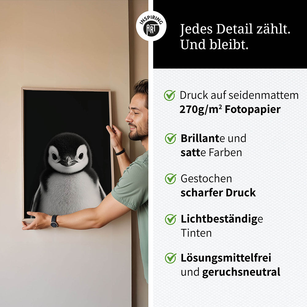Poster: Tierporträt Pinguin "Icy" in Schwarz-Weiß