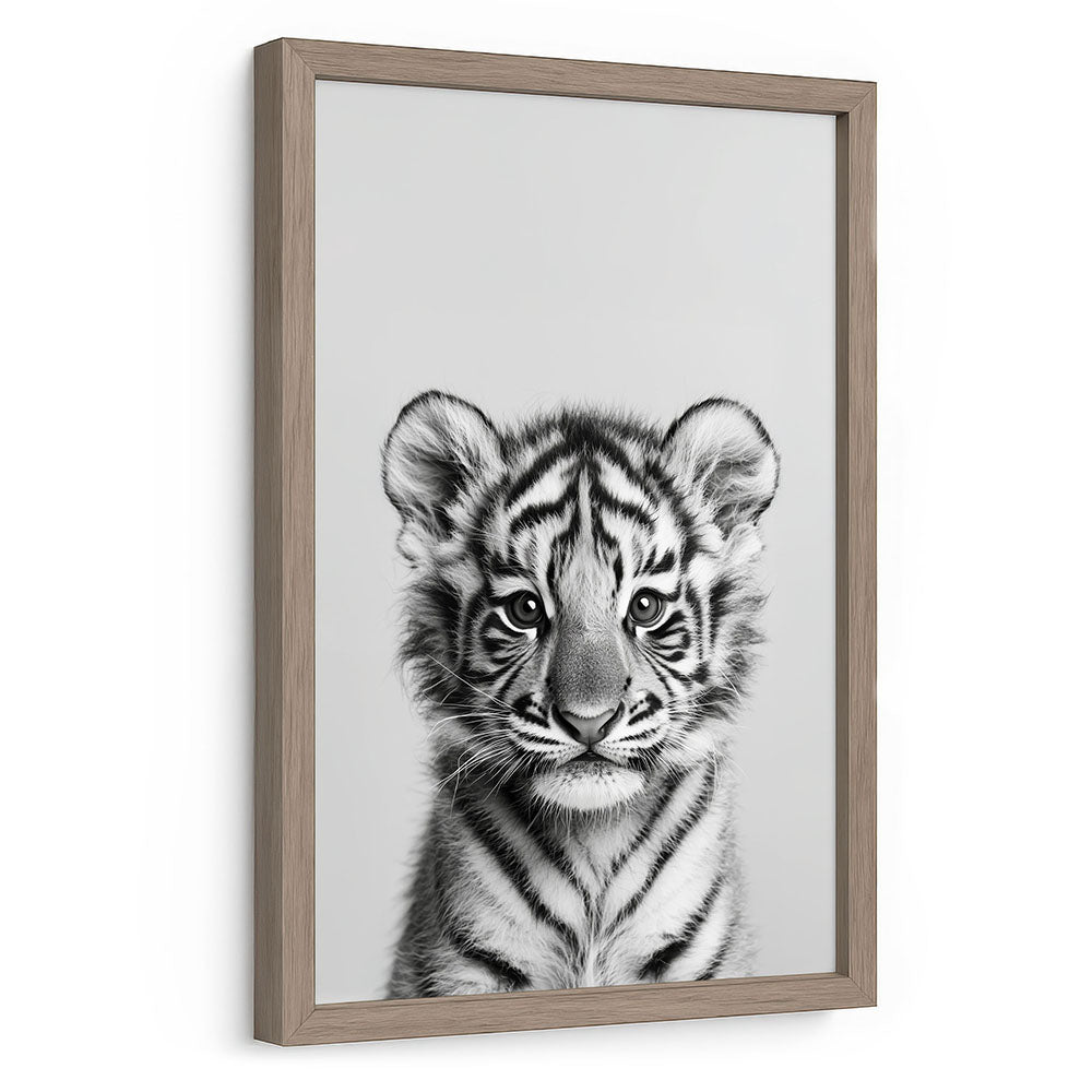 Poster mit Rahmen Tiger Schwarz Weiß