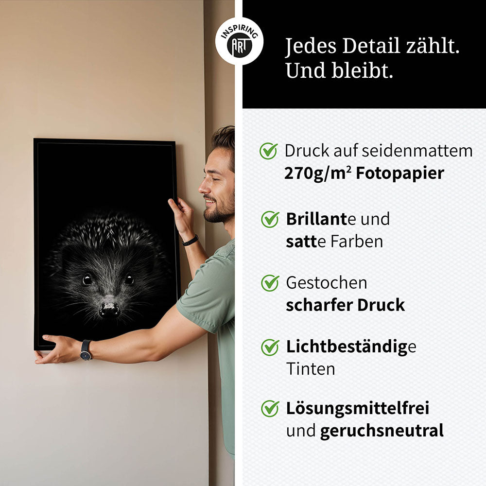 Poster: Tierporträt Igel "Stitch" in Schwarz-Weiß