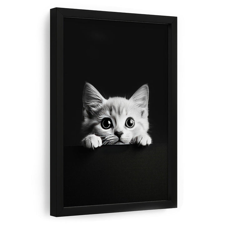 Katzenposter mit Rahmen Schwarz Weiß