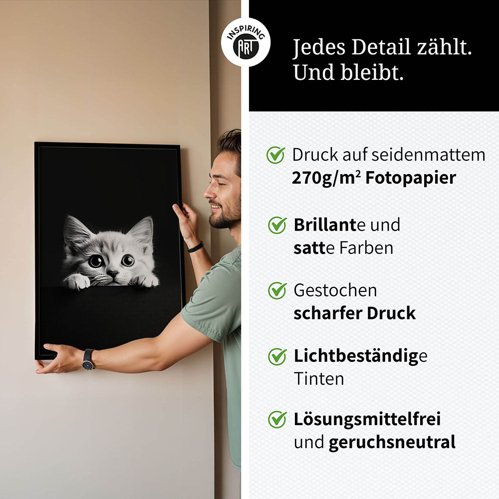 Poster: Tierporträt Katze "Misty" in Schwarz-Weiß