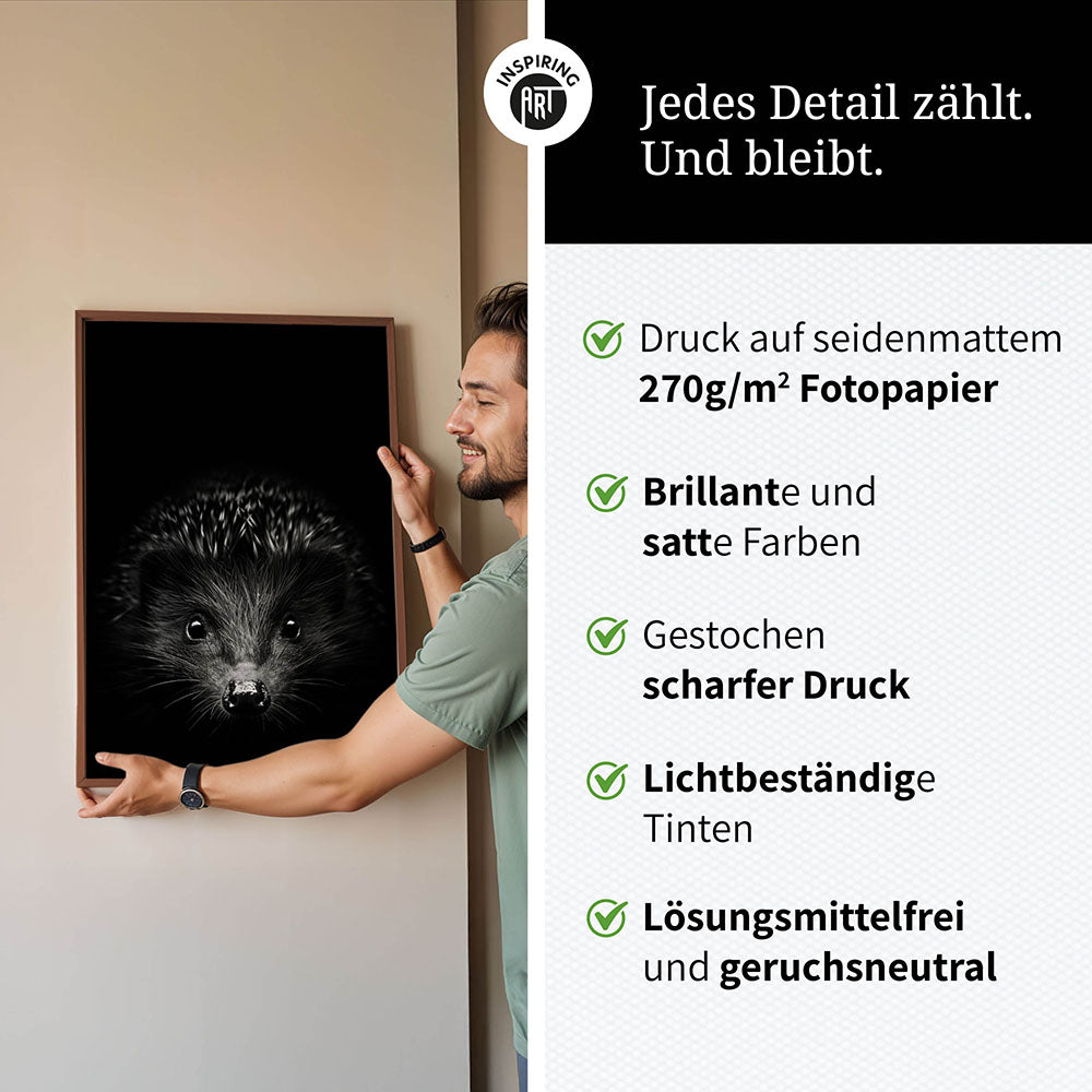 Poster: Tierporträt Igel "Stitch" in Schwarz-Weiß
