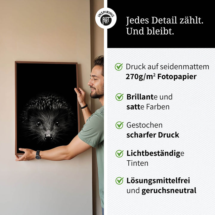 Poster: Tierporträt Igel "Stitch" in Schwarz-Weiß