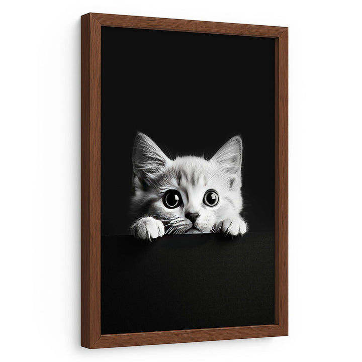 Tierbild mit Rahmen Katze Schwarz Weiß