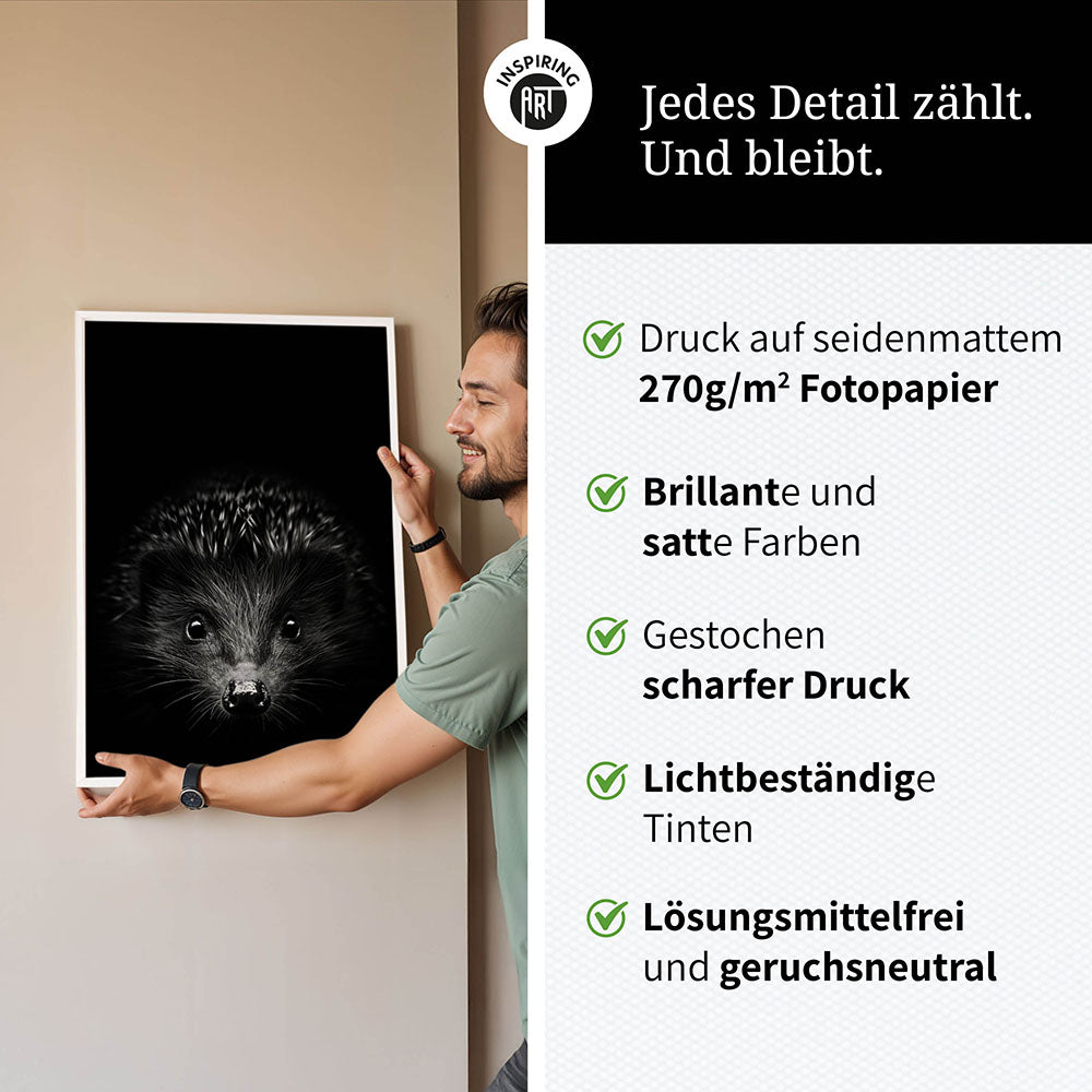 Poster: Tierporträt Igel "Stitch" in Schwarz-Weiß