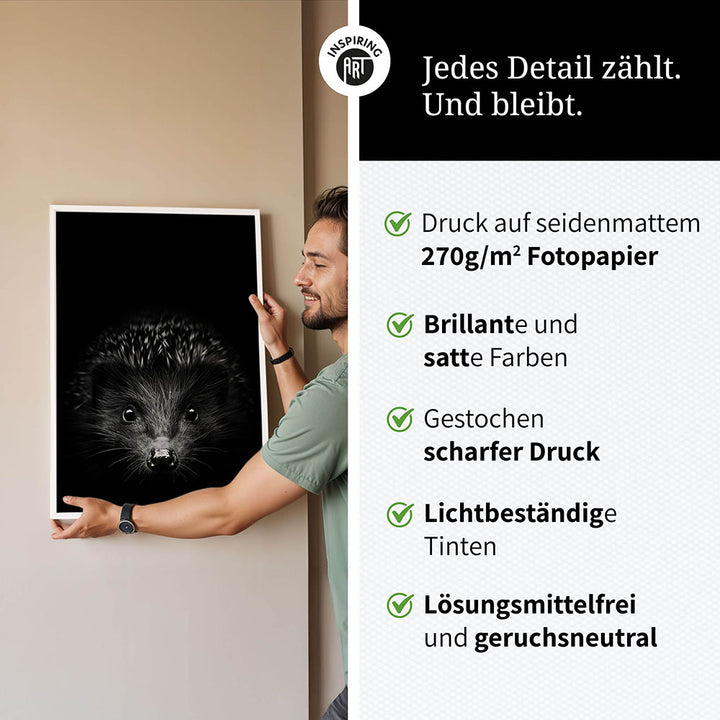 Poster: Tierporträt Igel "Stitch" in Schwarz-Weiß