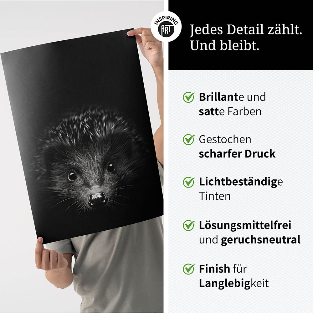 Poster: Tierporträt Igel "Stitch" in Schwarz-Weiß