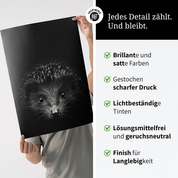 Poster: Tierporträt Igel "Stitch" in Schwarz-Weiß