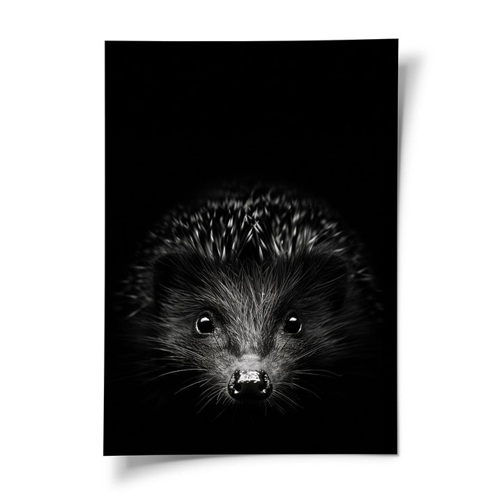 Poster Igel Schwarz Weiß