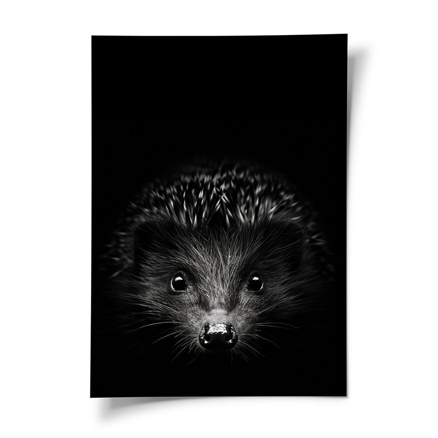 Poster Igel Schwarz Weiß