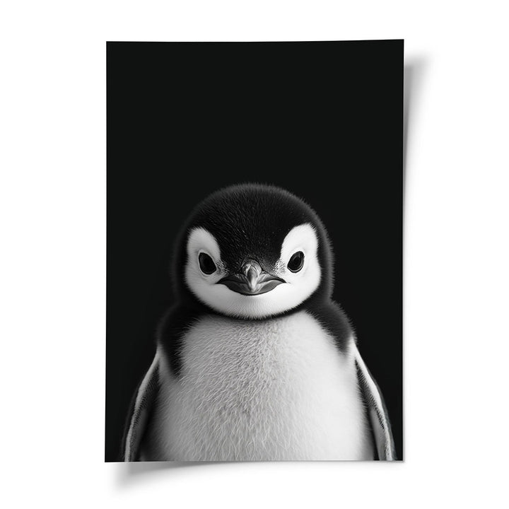 Tierposter Pinguinbaby Schwarz Weiß