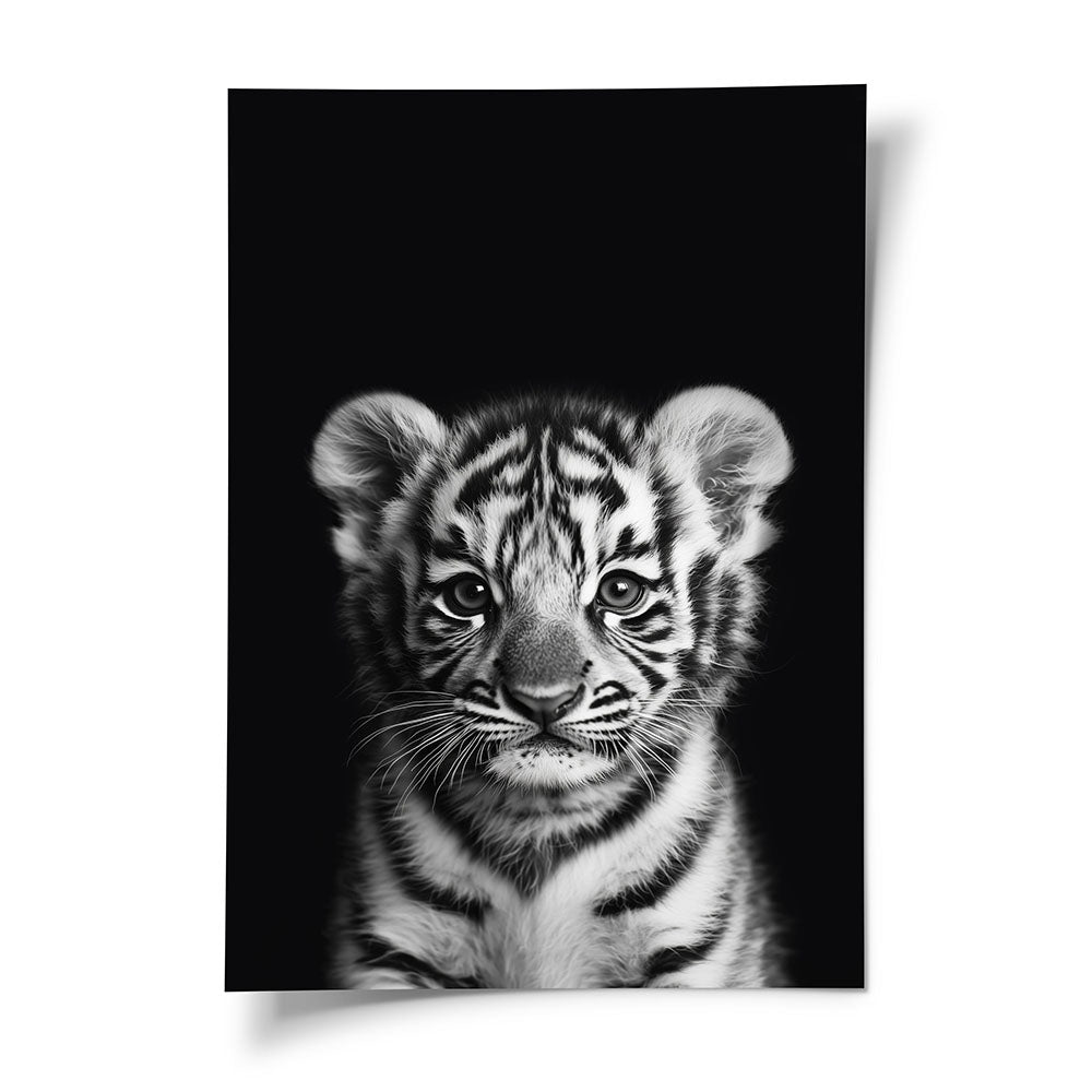 Tigerbaby Poster mit Rahmen Schwarz Weiß