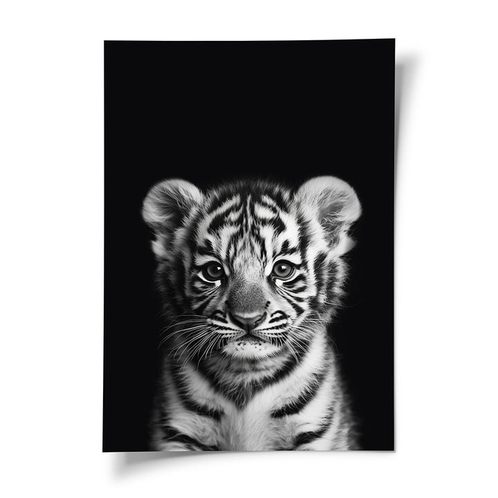Tigerbaby Poster mit Rahmen Schwarz Weiß