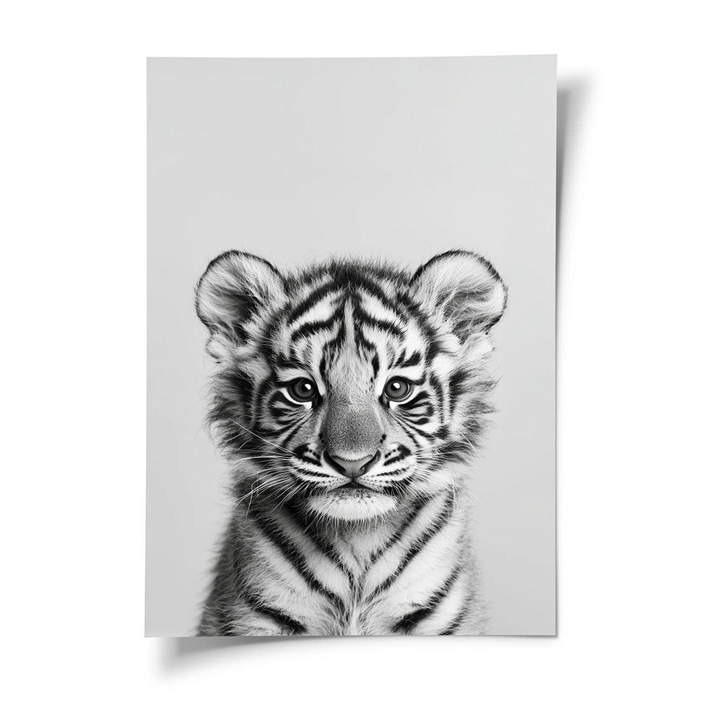 Poster: Tierporträt Tiger "Raja" in Schwarz-Weiß