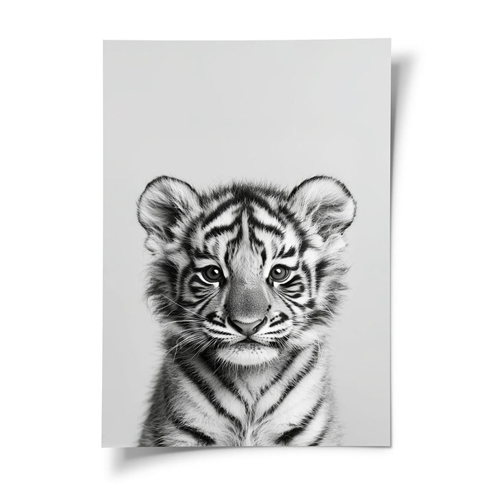 Poster: Tierporträt Tiger "Raja" in Schwarz-Weiß