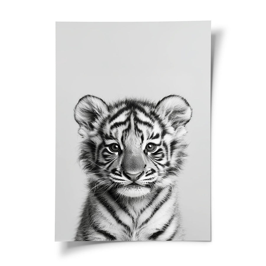 Poster  Tiger Schwarz Weiß